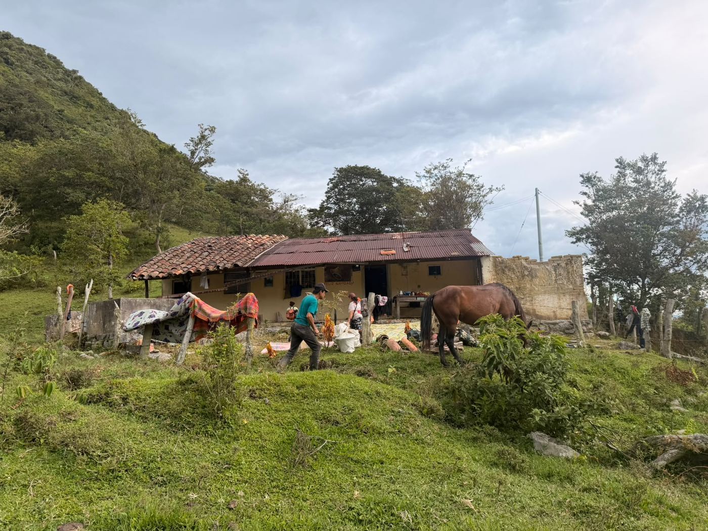 La familia trabajando en la casa de la finca, con un caballo en el patio