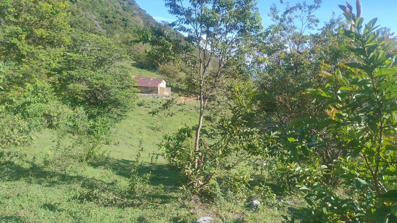 La casa vista desde lejos entre los árboles