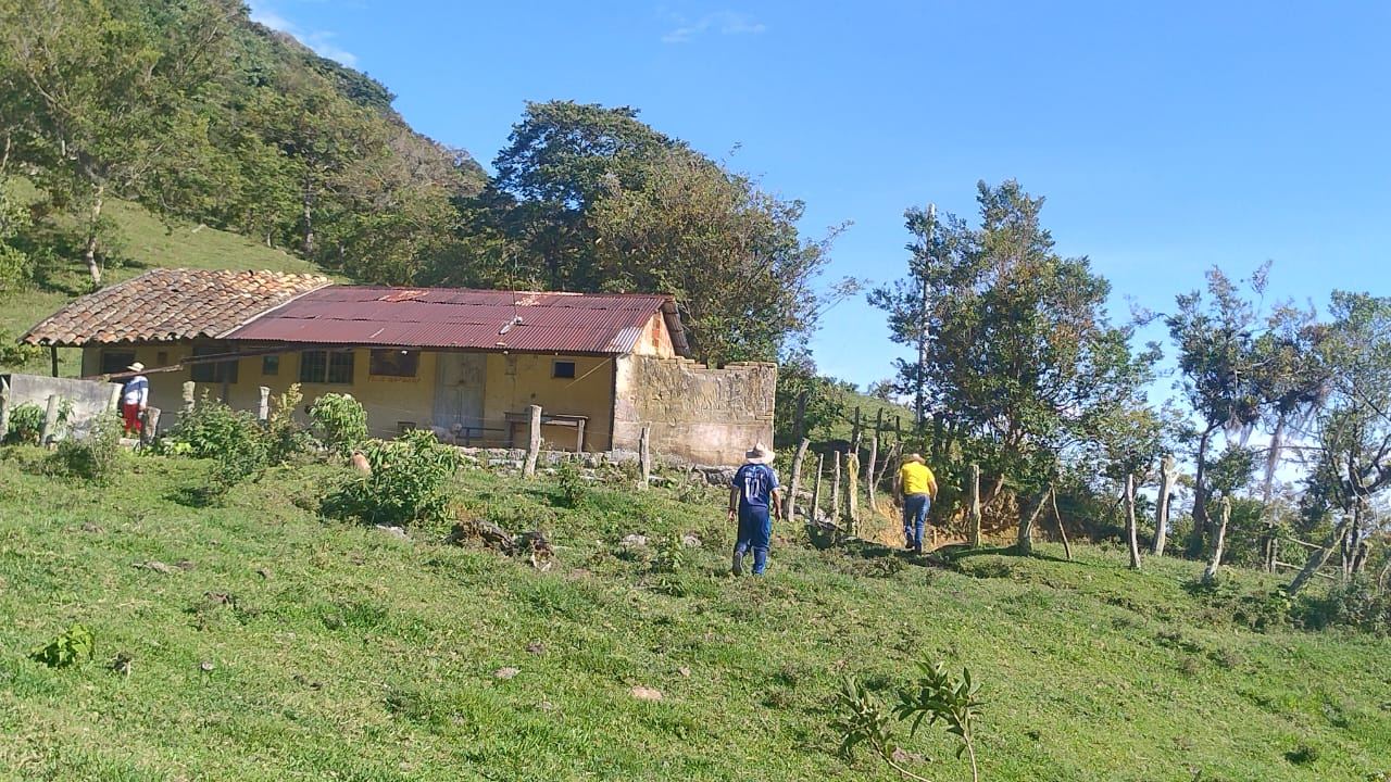 Tres personas subiendo por el potrero hacia la casa de la finca